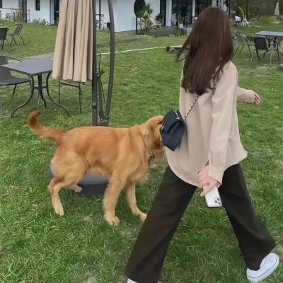 北越归来